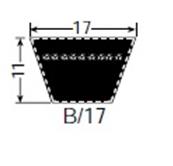 Courroie trapézoïdale 17x11 - B61 - 17 X 1550 - Challenge